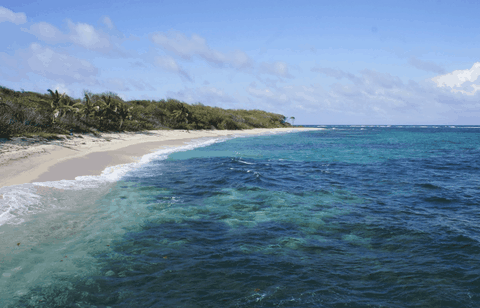 Anse Baleine & Anse Four À Chaux (Cap Macré)