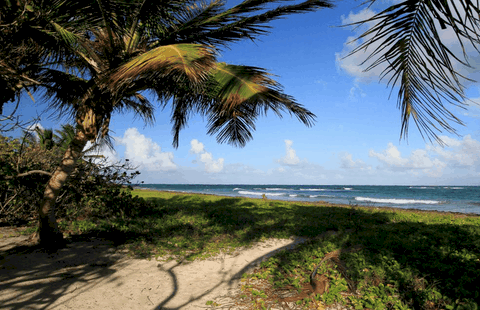 Plage Du Grand Macabou