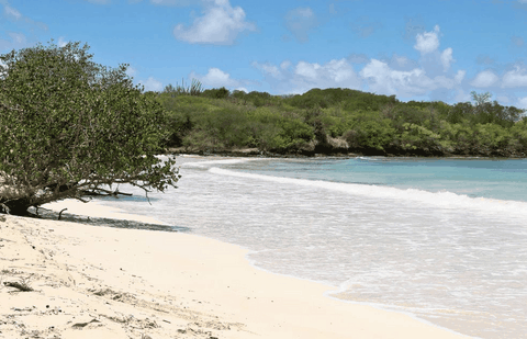 Anse Meunier Ou Anse Moustique