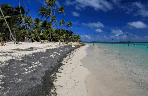 Anse Michel (Cap Chevalier)