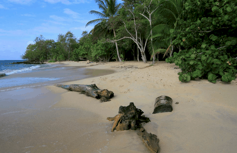 Plage De Pont Café