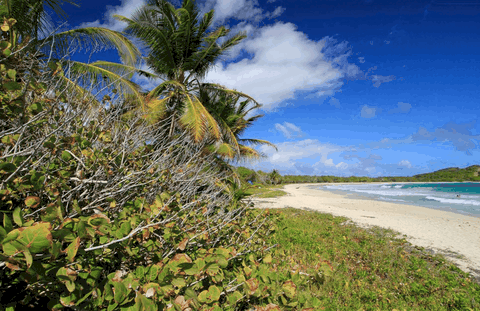 Anse Trabaud