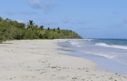 Grande Terre Des Salines & Anses À Prunes