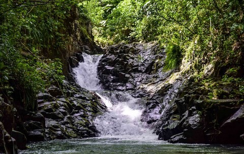 Cascade Du Carbet (Peu Connue)