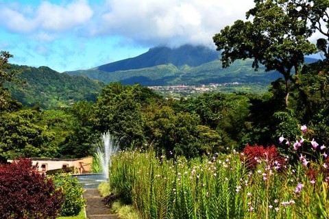 Distillerie La Mauny