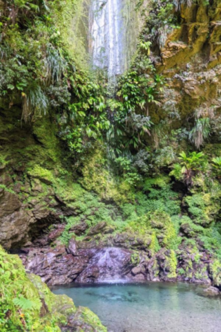 Grand Circuit De La Réserve Naturelle De La Presqu'île