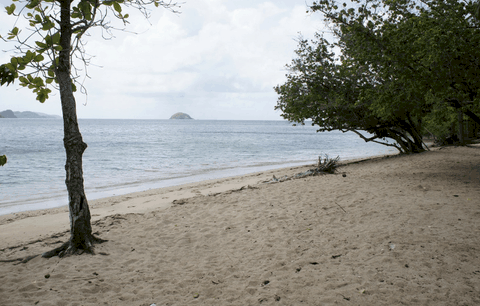 La Plage De L’Autre Bord