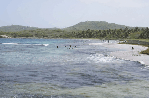 Plage Du Petit Macabou